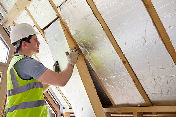 Best Insulation Installation Services in Stanley, VA
